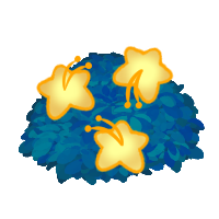 Starblooms